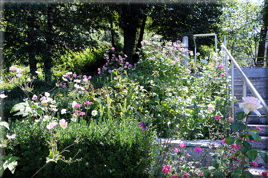 foto Giardini Trauttmansdorff - Giardini acquatici